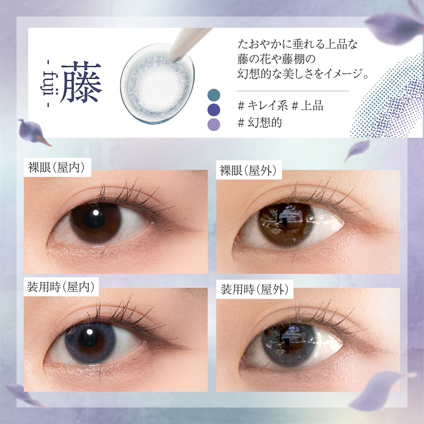 【ワンデー】Bishonenga hanairo カラーコンタクトレンズ ワンデー 藤 fuji