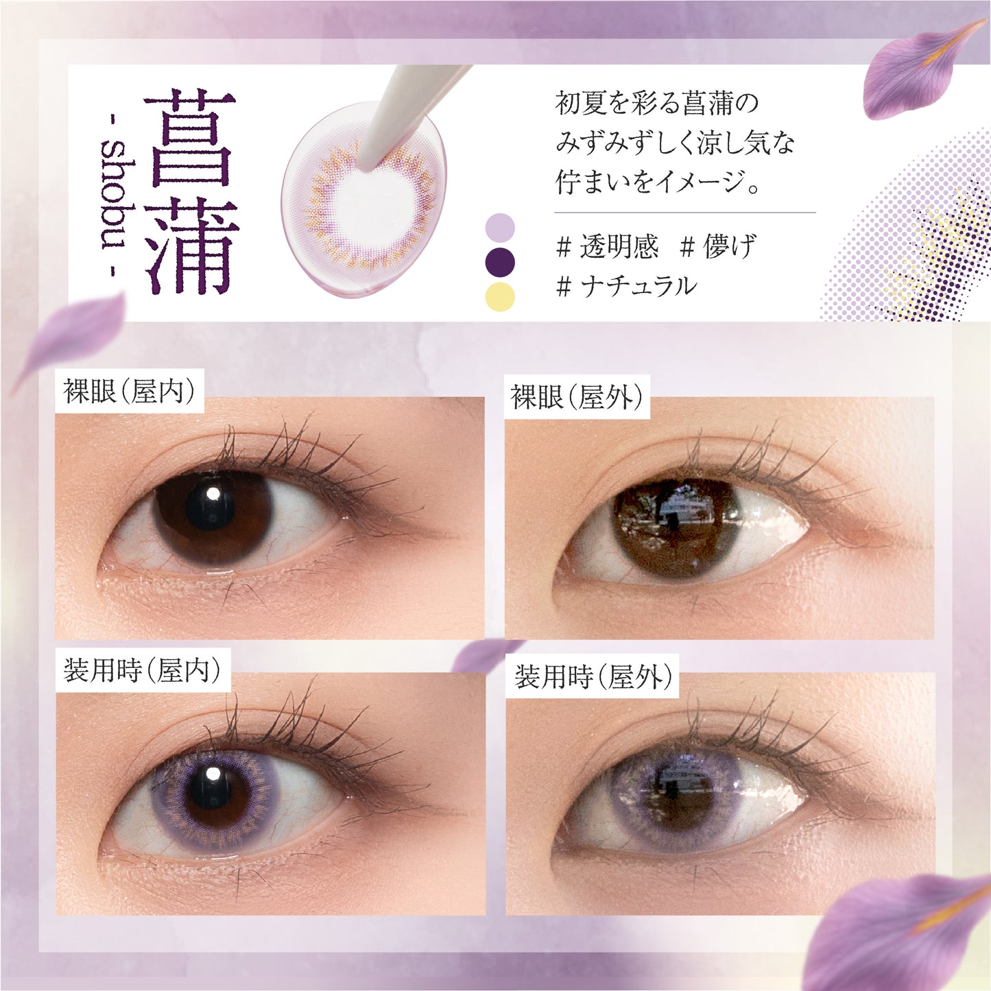 【ワンデー】Bishonenga hanairo カラーコンタクトレンズ 菖蒲 shobu